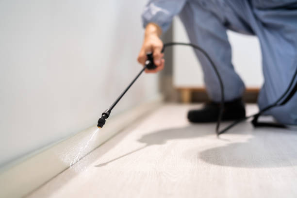 Licensed Rodent Control service in Brilliant, AL - Nex Pest Control