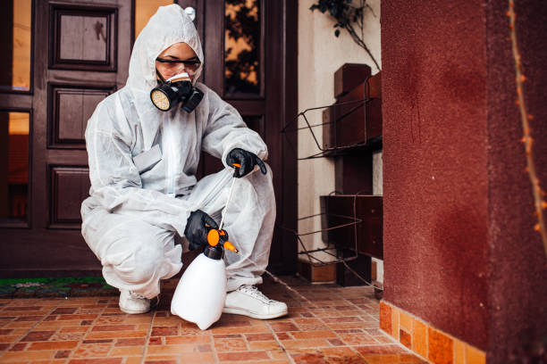 Reliable Rodent Control contractor in Brilliant, AL by Nex Pest Control