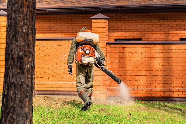 Trusted Rodent Control service in Brilliant, AL - Nex Pest Control